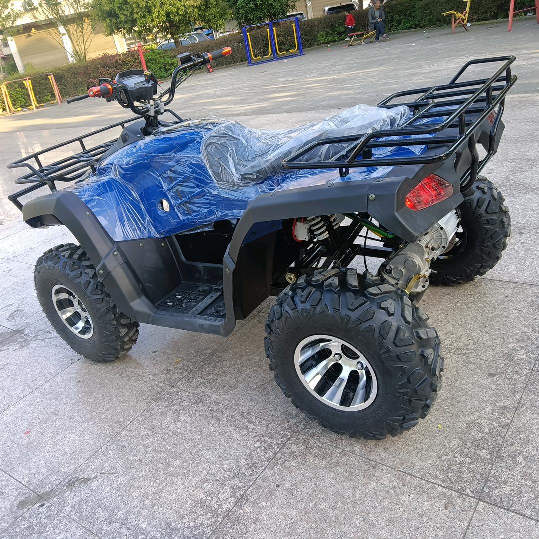 花开的时候来看我