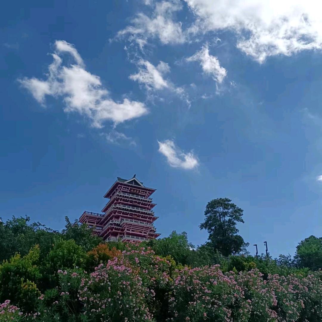 张姨