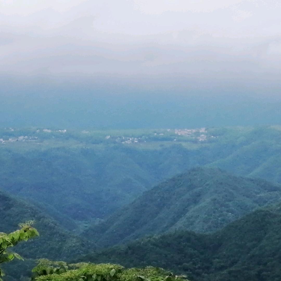 情难枕