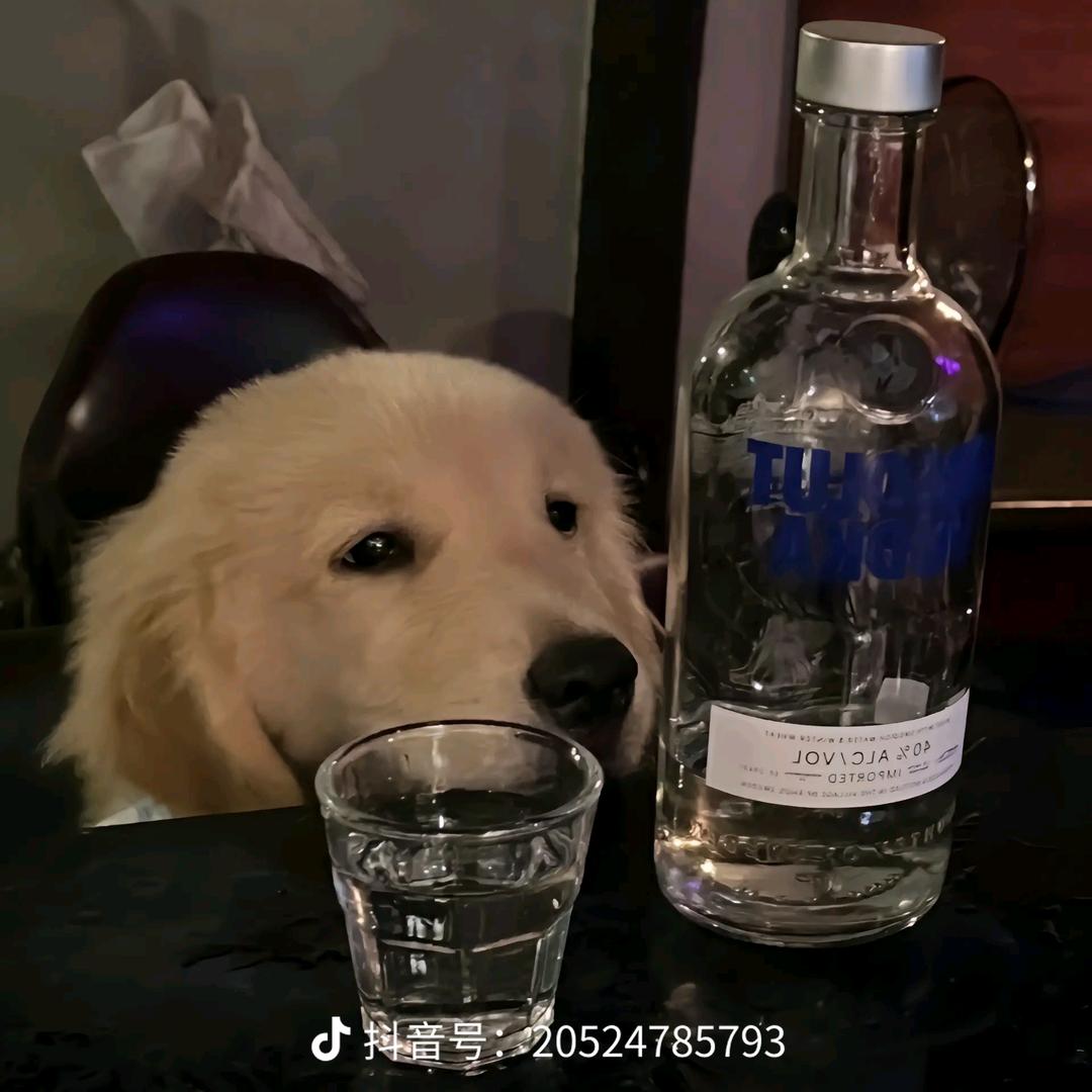 我的路一切未知