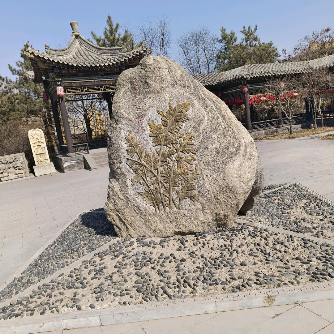 李白不白
