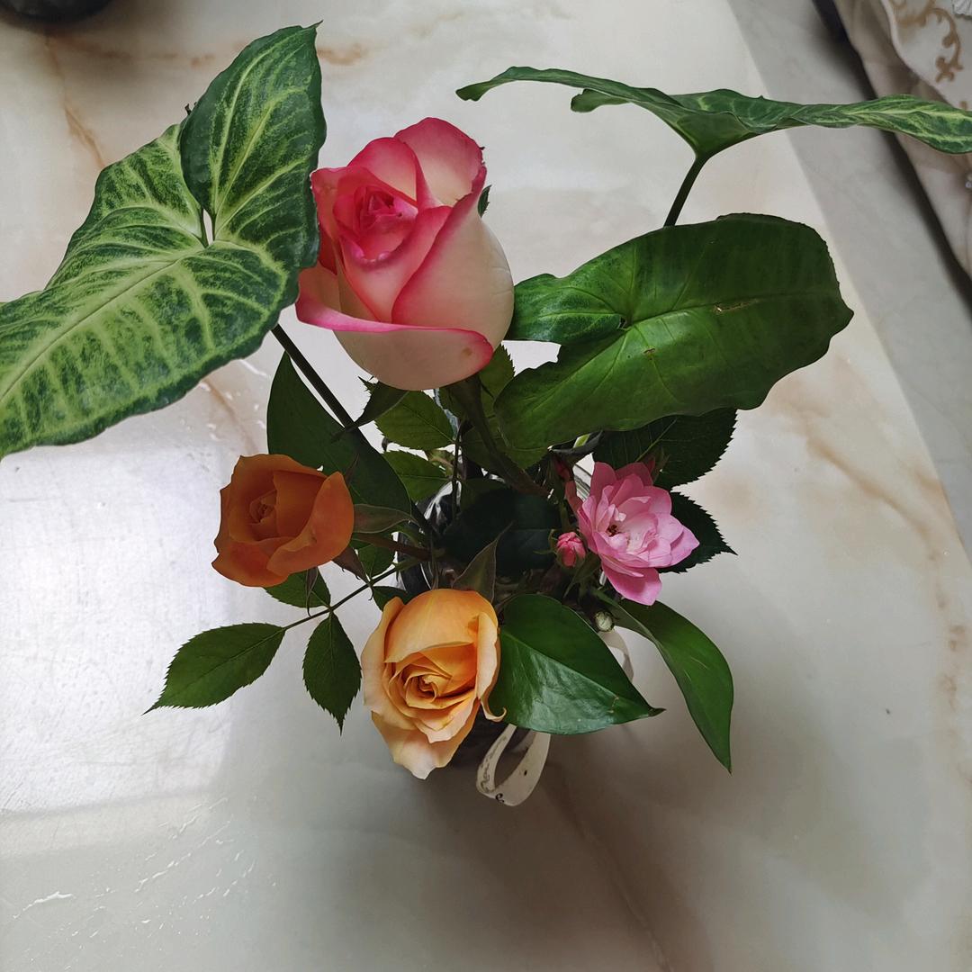 余生若梦(⑉°2023°)-♡