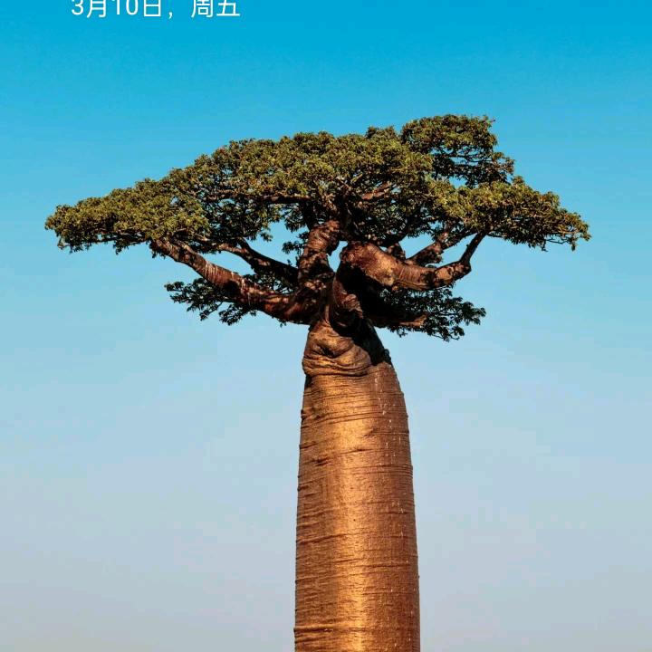 洋河不会种地的小农民2146593285