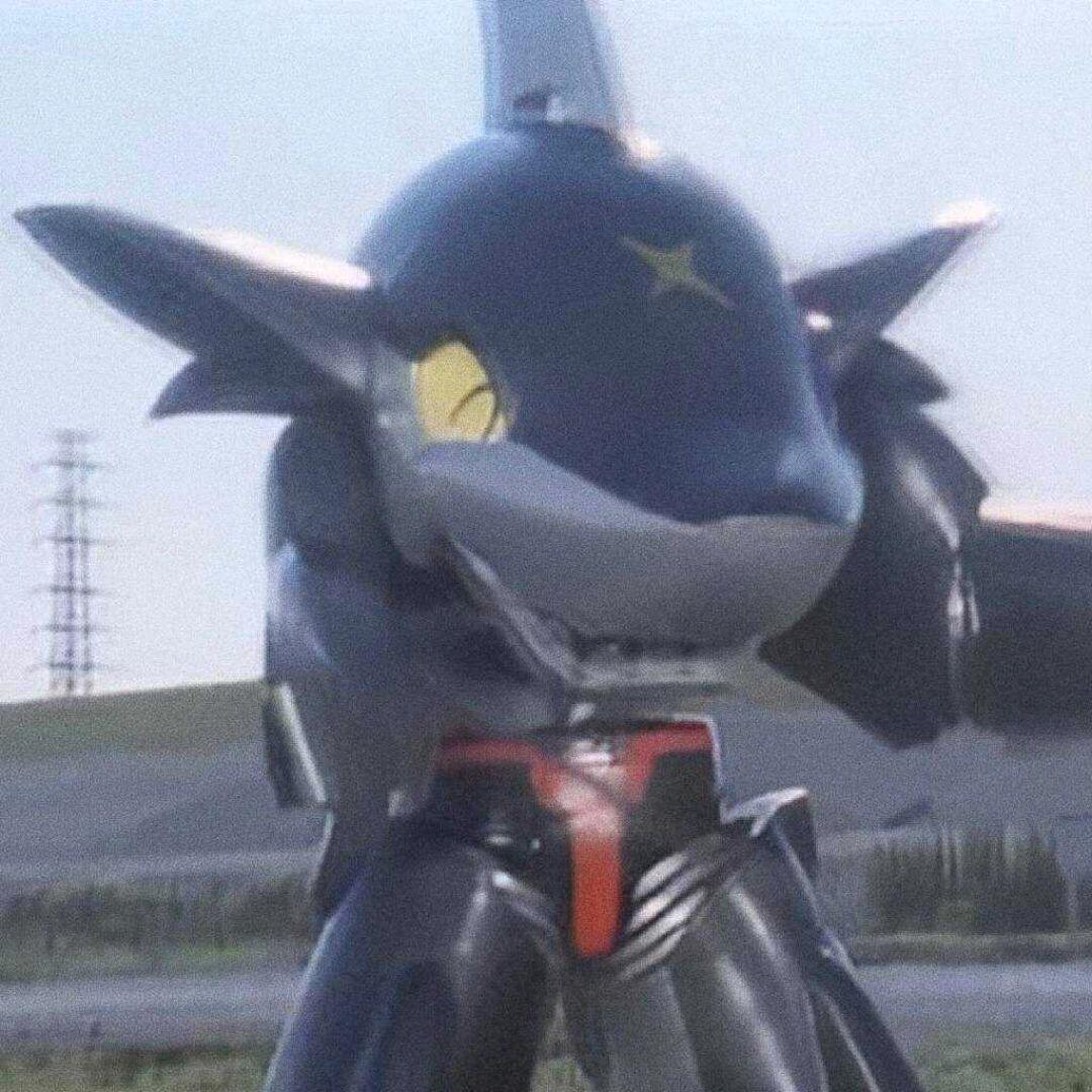 鲨鱼辣椒🦈🦈🦈🦈