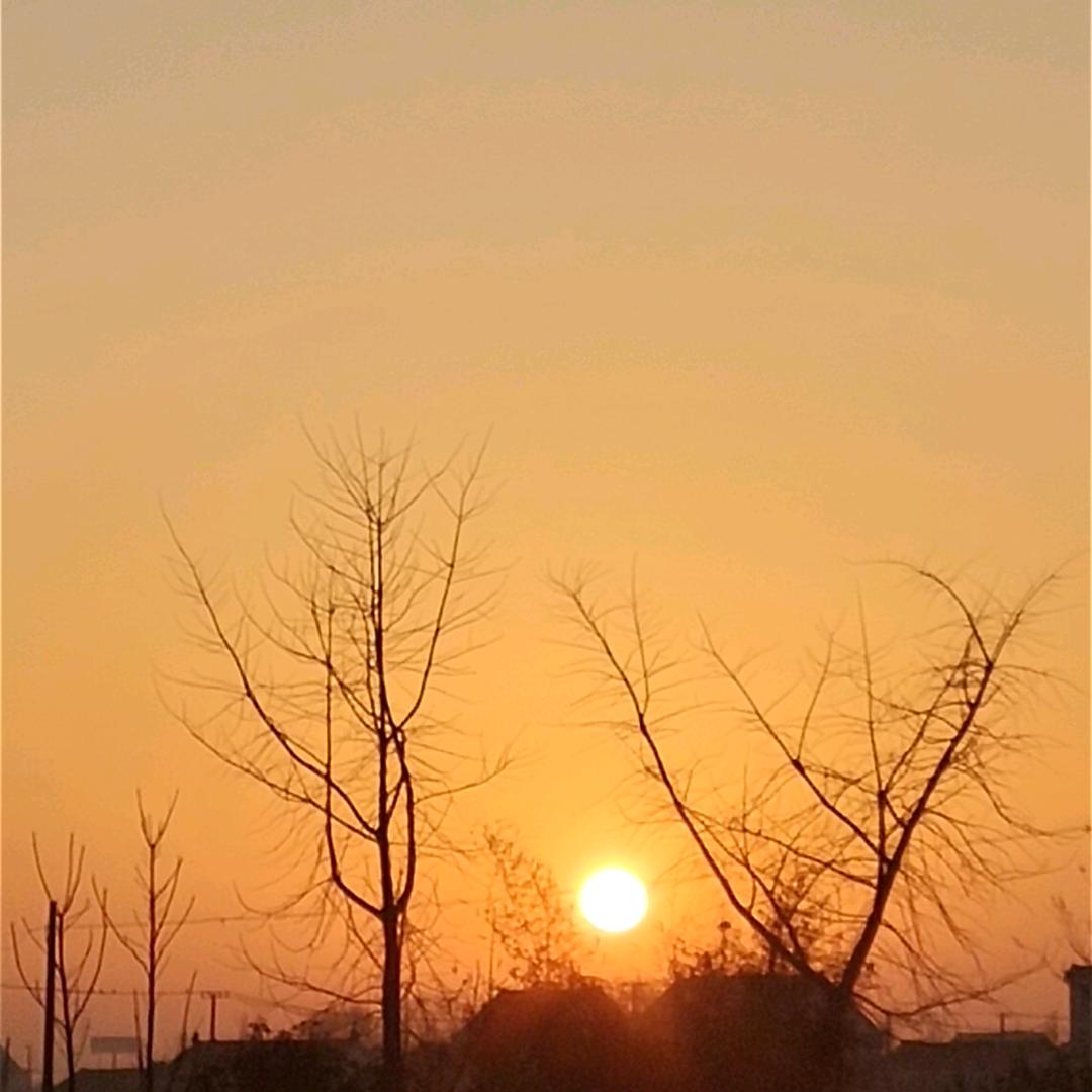 春暖花开