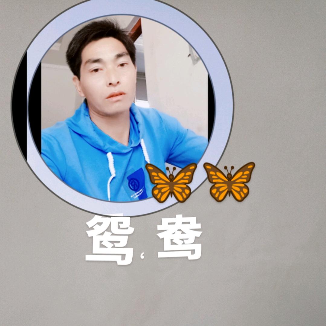鸳鸯🦋🦋