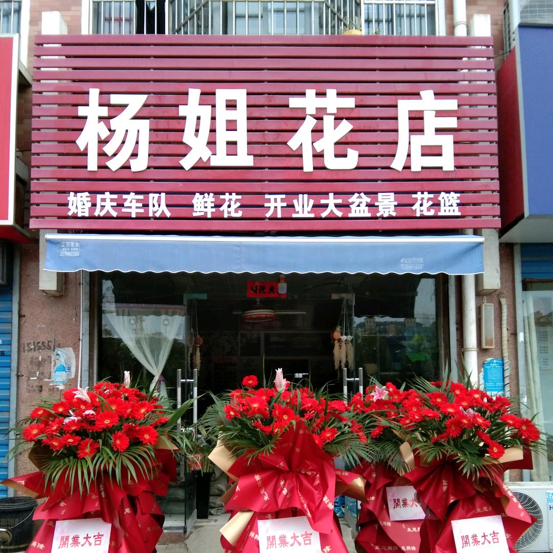 杨姐，主营鲜花，绿植，手捧花，婚庆花篮