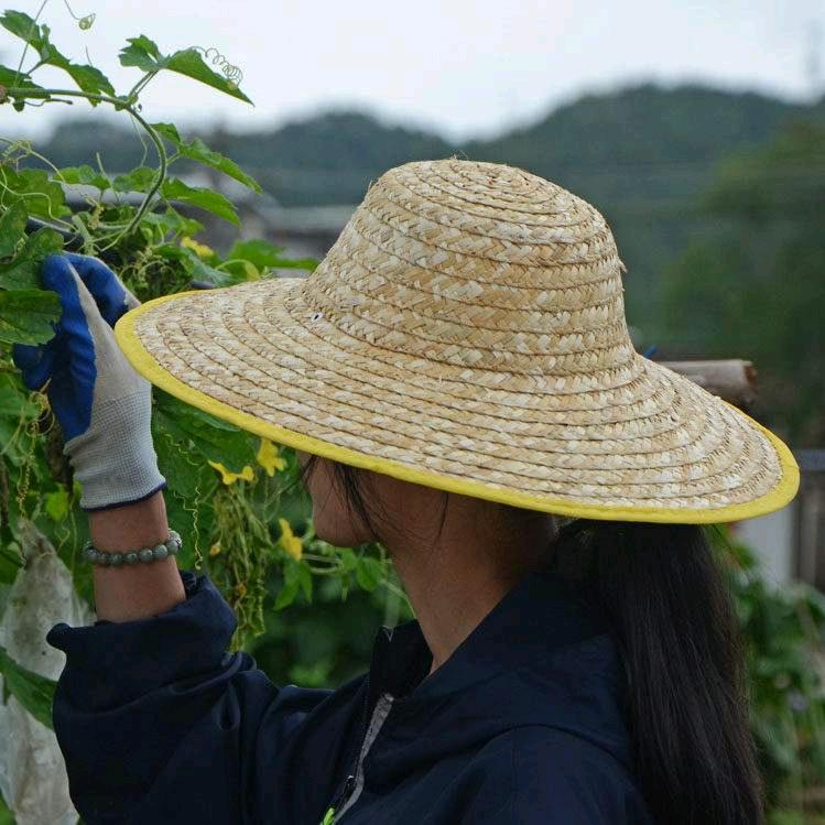 老狼老师很能吃