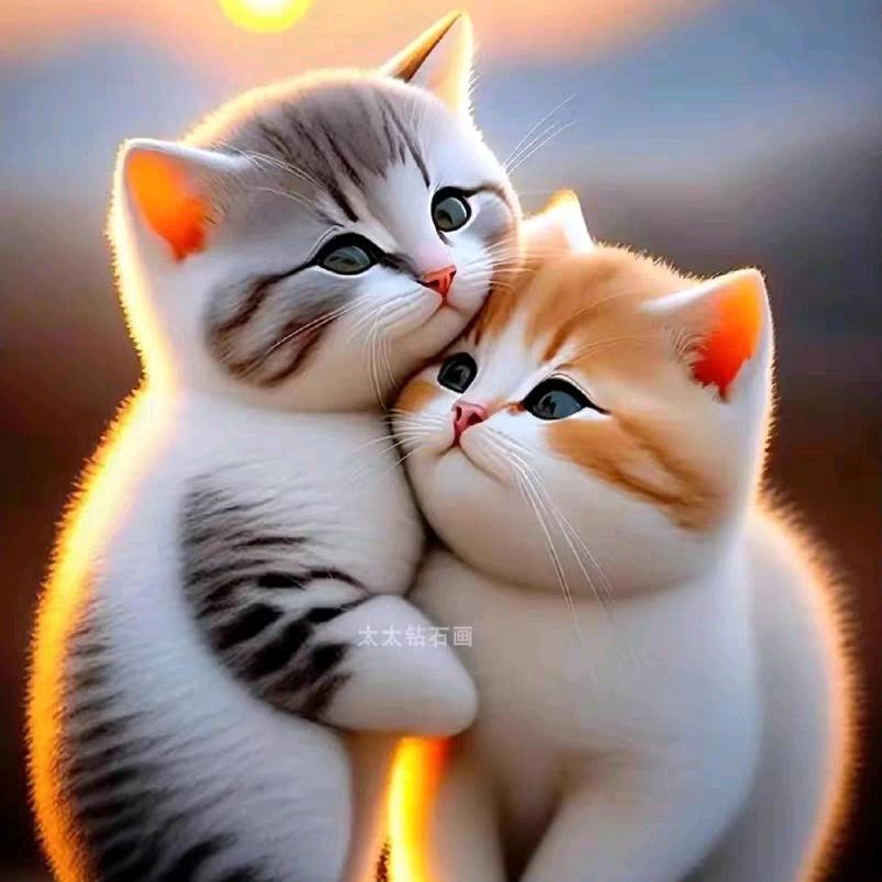 💞往ღ后᭄ꦿ余ℯ生᭄ꦿ