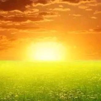 Zyf5241512飞飞之梦