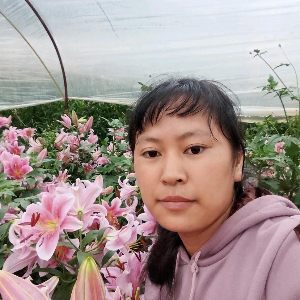 期明天会更好