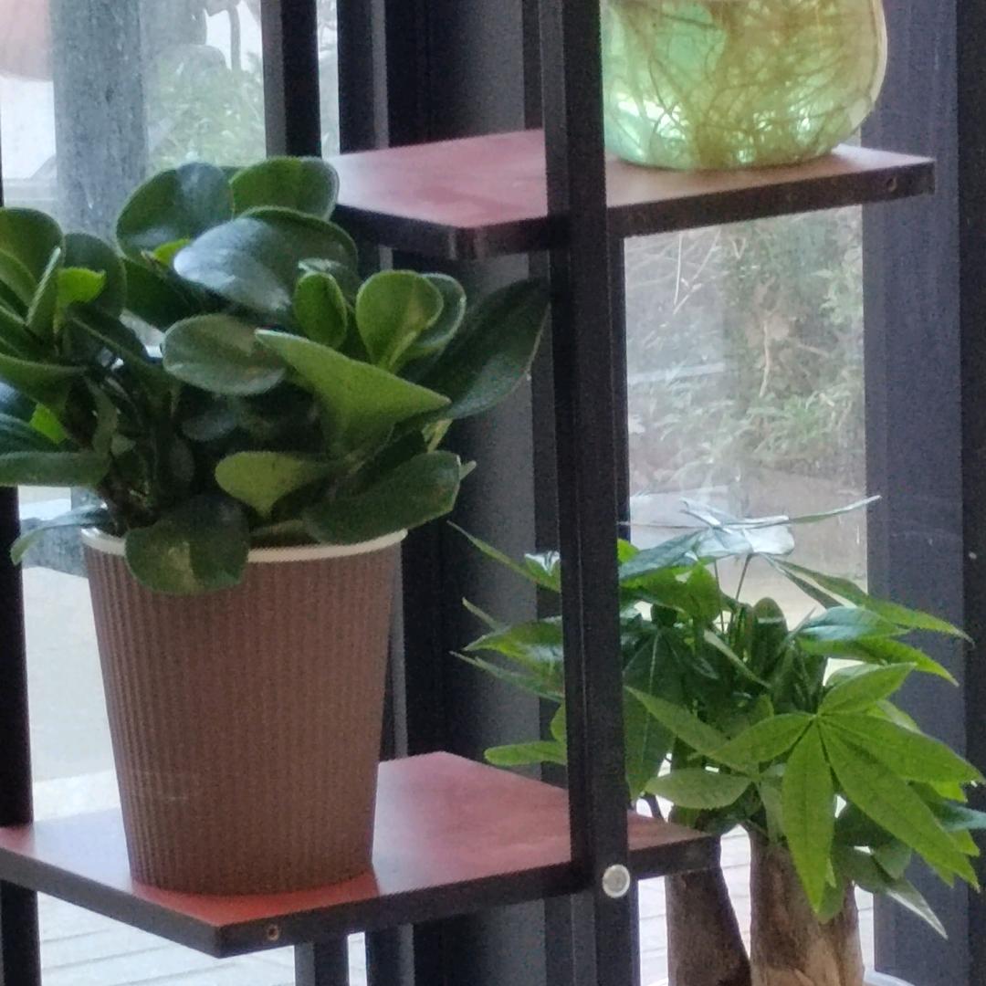 鸿绣