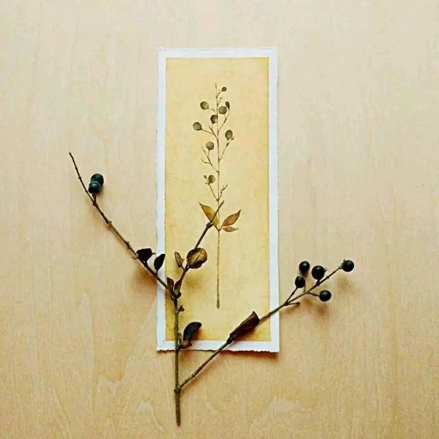 金樽尚品