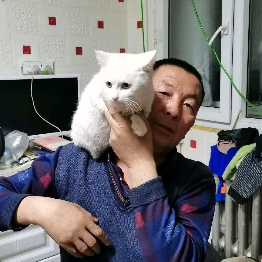 漂泊的人