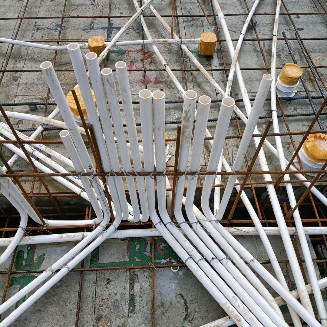 会飞的鱼✪ω✪