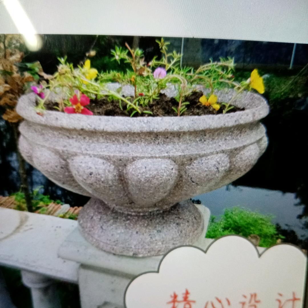 李伟中