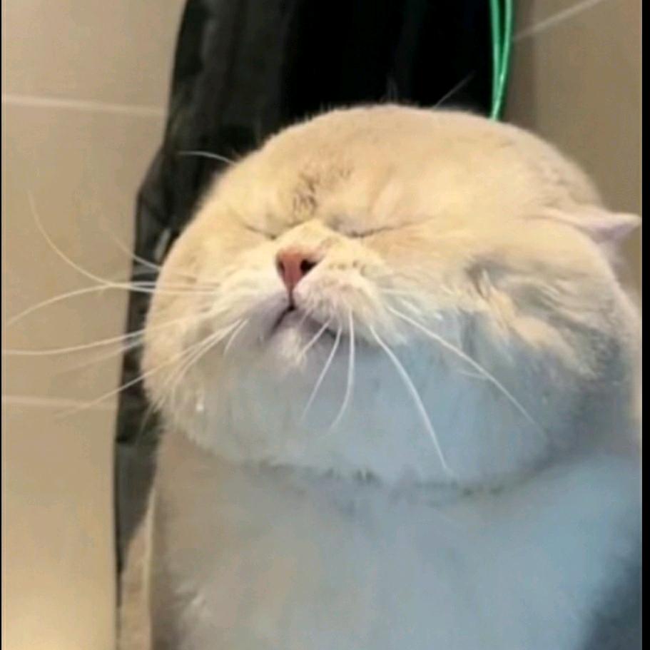 你可以叫我mt