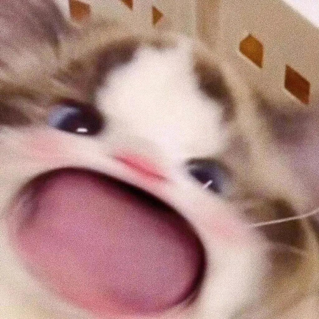 忍者村幕幕🌸