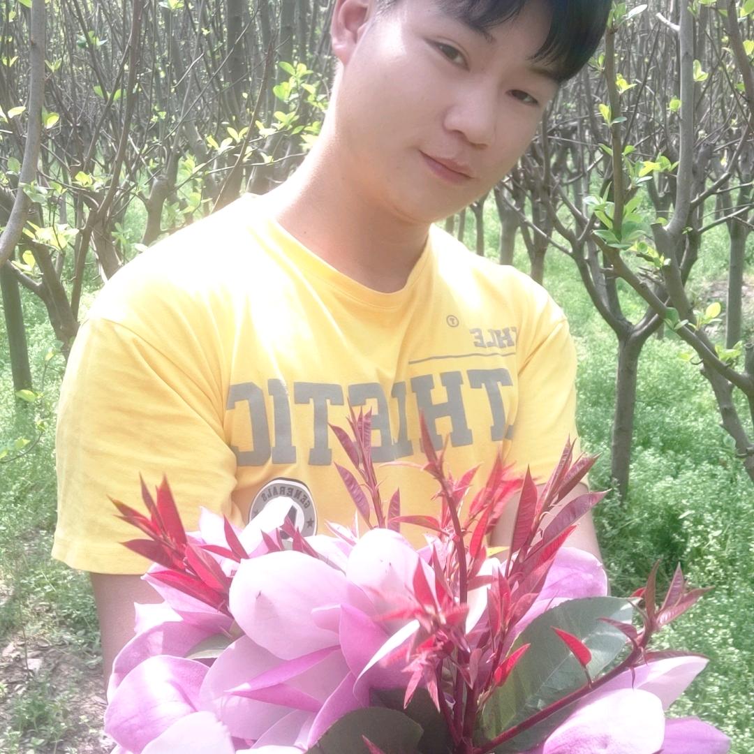 沈辉