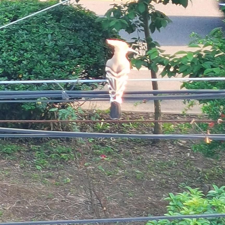 丨丶灬挽佑手|丨丶灬纤佐手