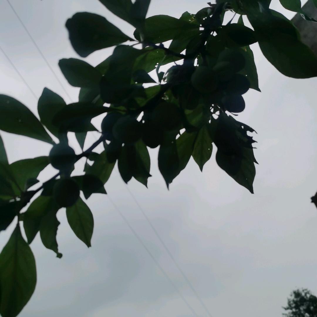 你我她