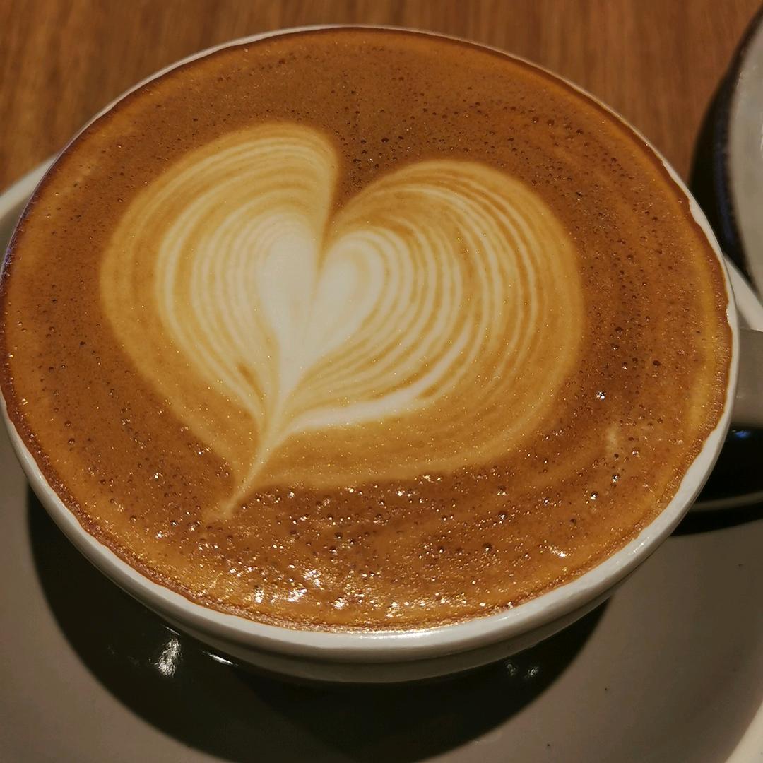 追逐阳光的小蜜蜂