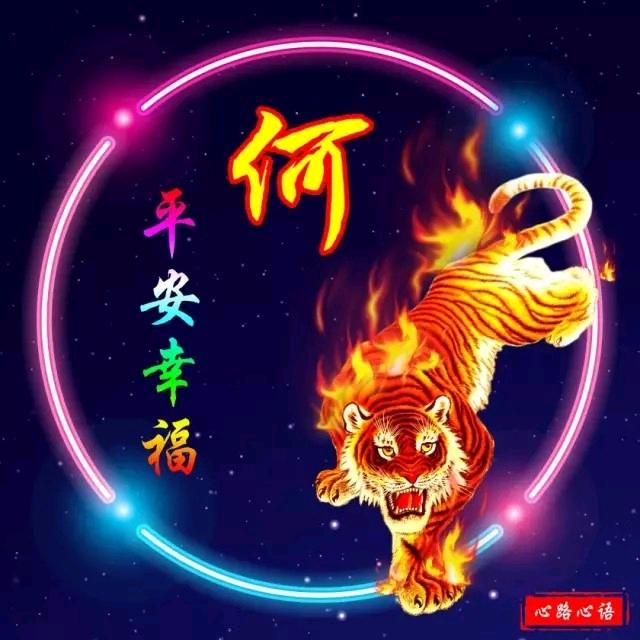 梦幻@人生