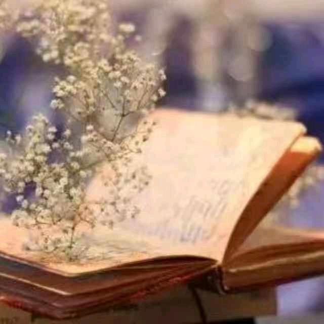 星辰( •︠ˍ•︡ )