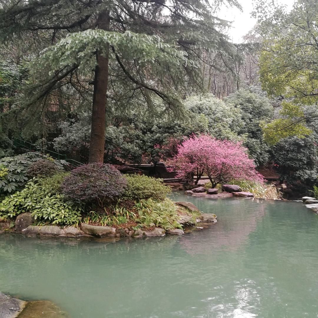 人生风景