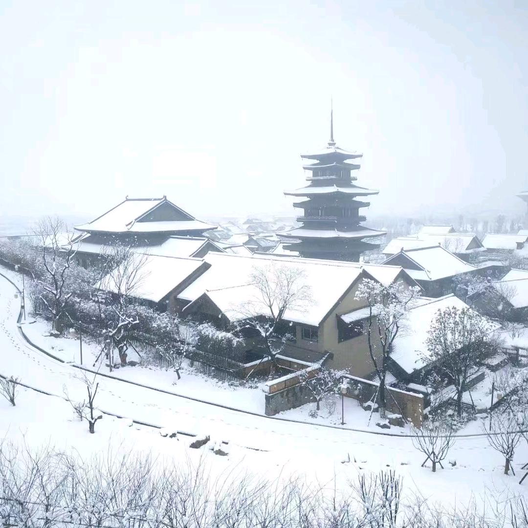 W师兄