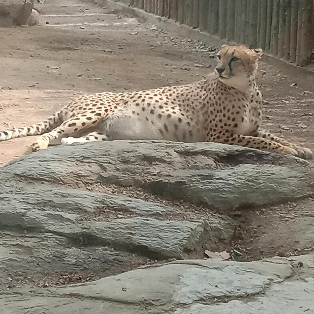 老鳖沟