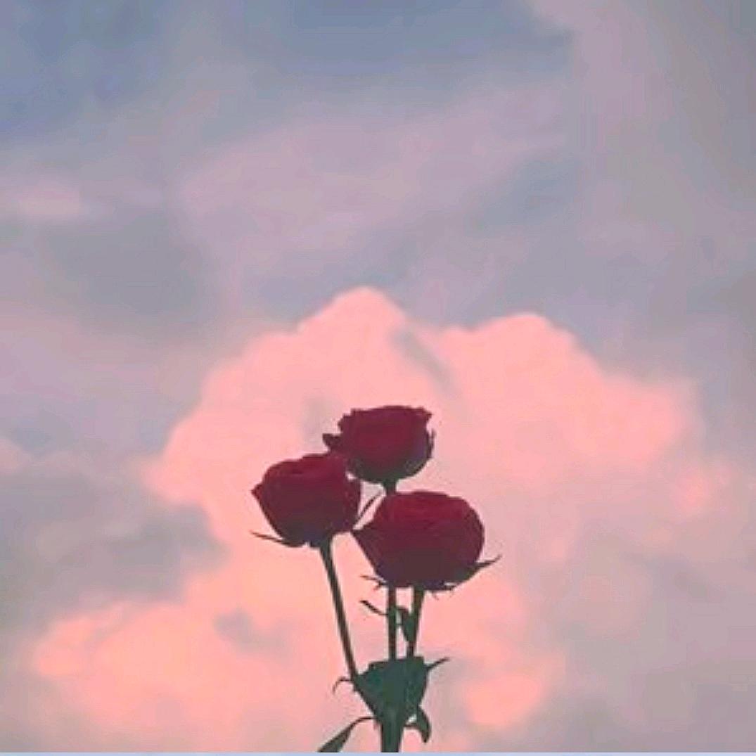 沐春