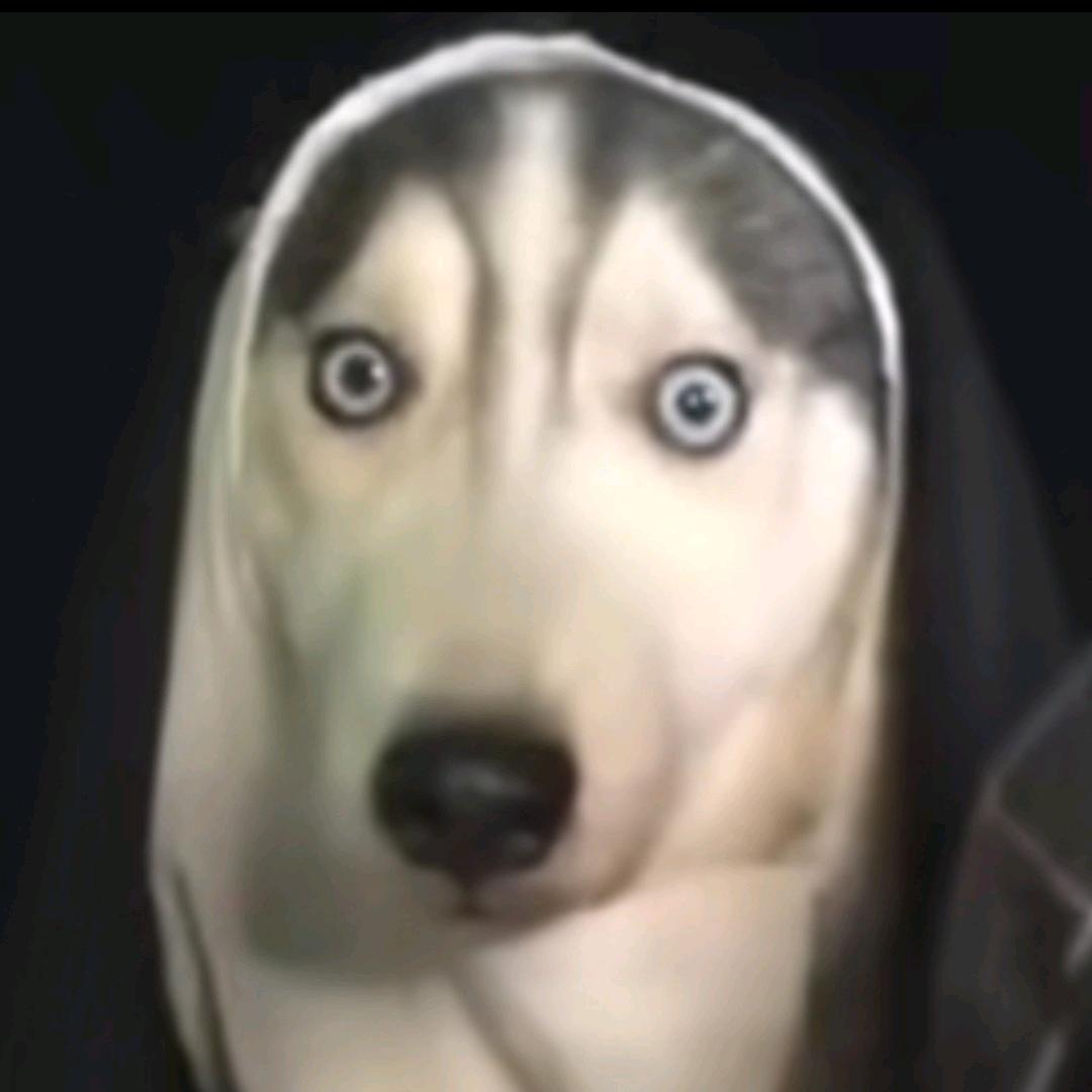 🌈梦里啥都有🛏