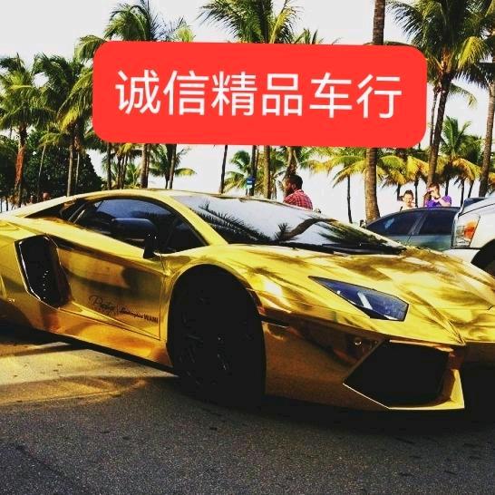 冠县清水镇春林诚信新能源汽车基地