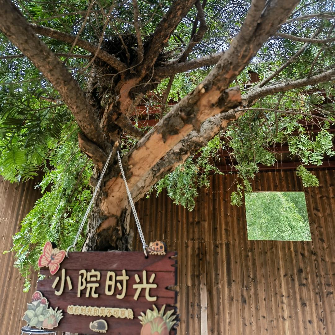 林家小院