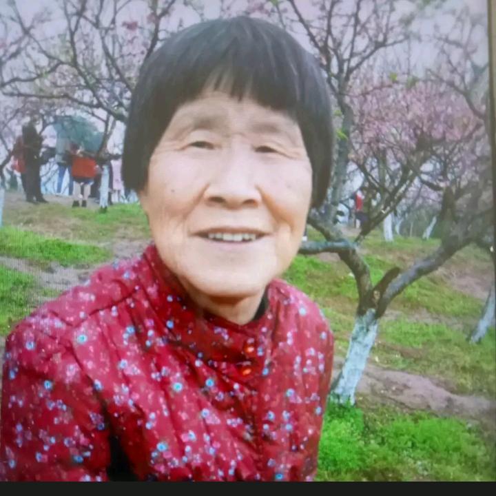 王姥姥(晚上六点半开播)