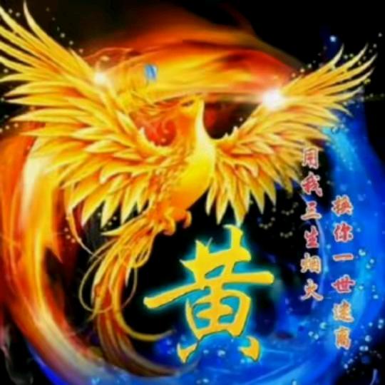 江夏黄，桂K619