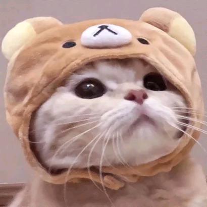 ✨🌟小丫头🌟✨