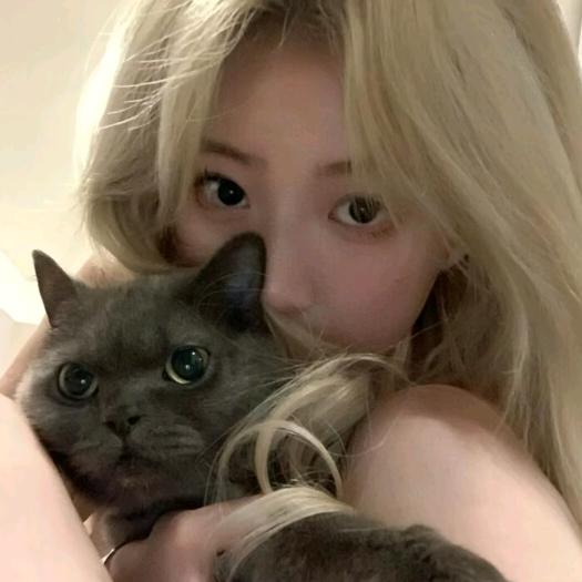 香蕉你个补呐呐