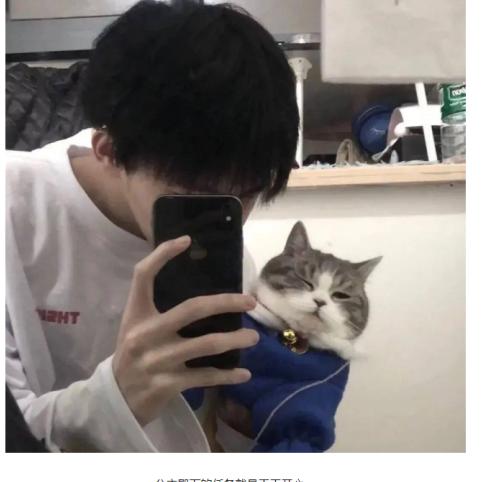 紫色记忆