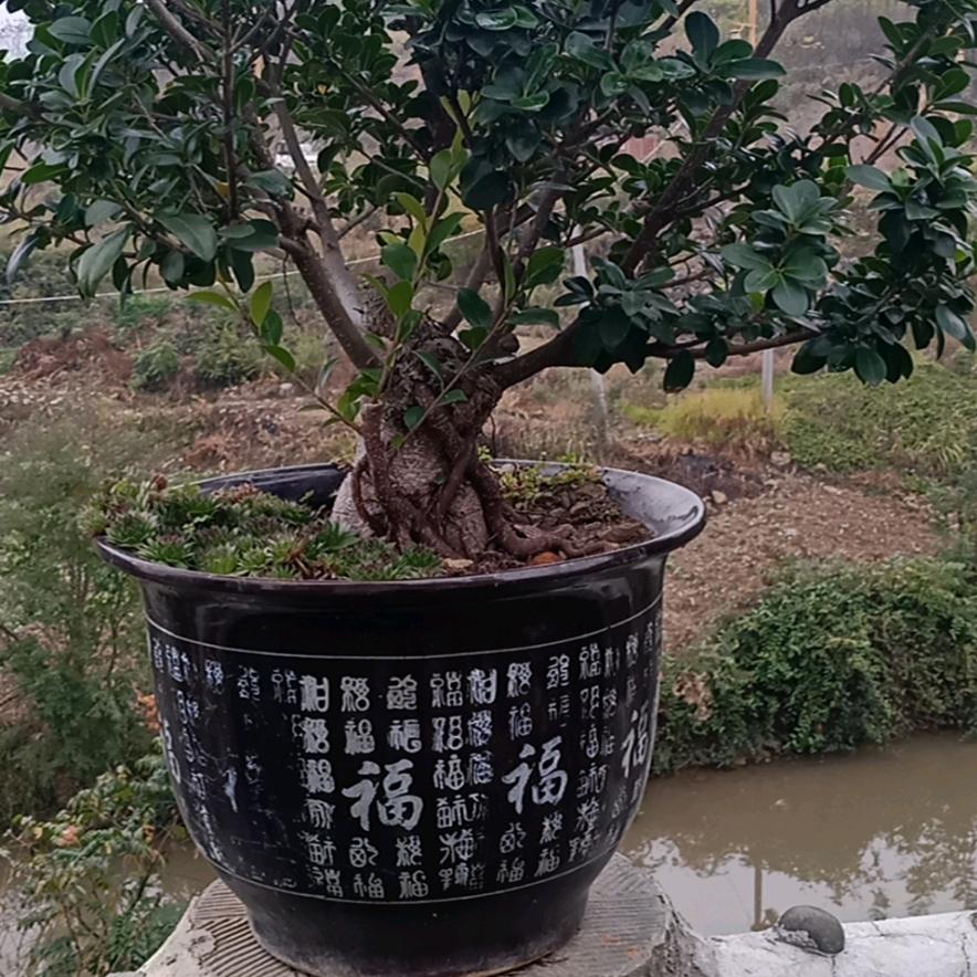快乐野钓