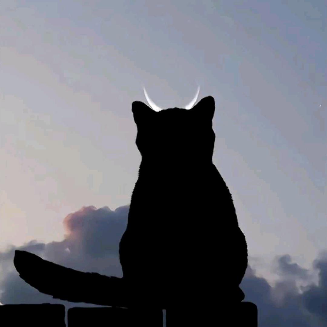 广告牌成精