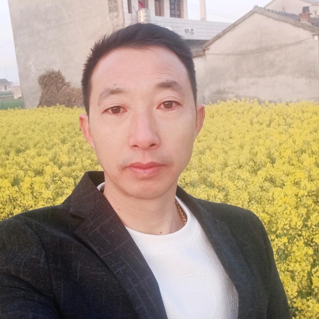 奉城花鸟鱼宠：義晨