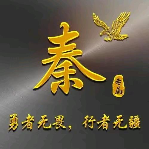 秦振才