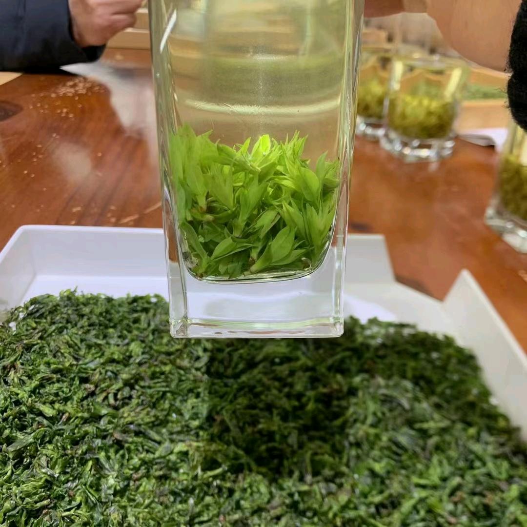 宜宾茗茶集市