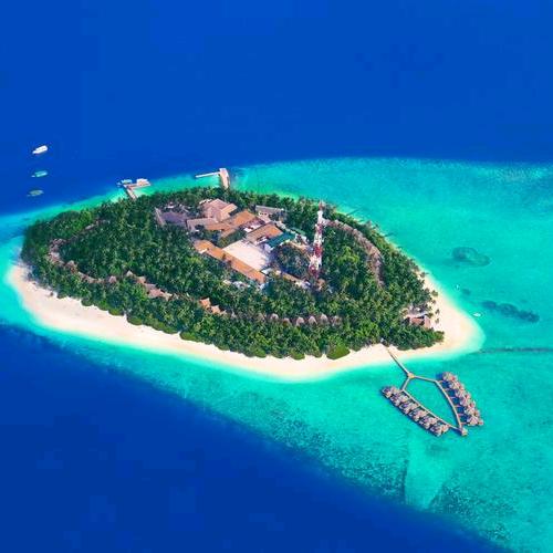 薛家湾东部-电煤