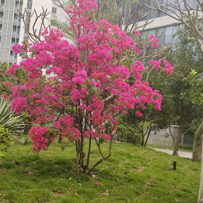 天天好心情_247498586