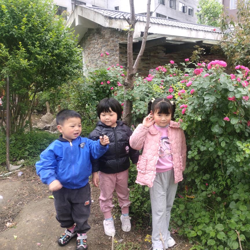 欣娜康爱你们