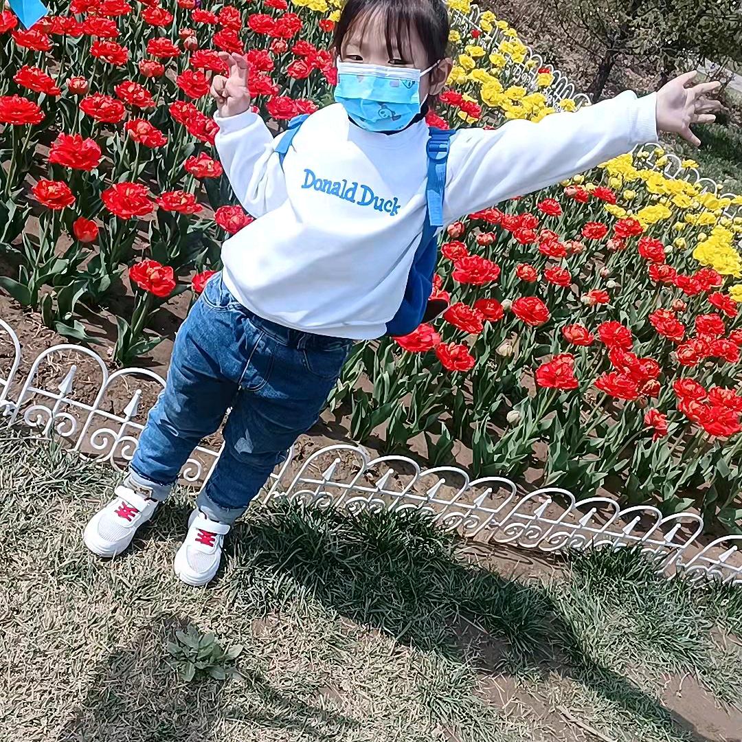 淡雅人生