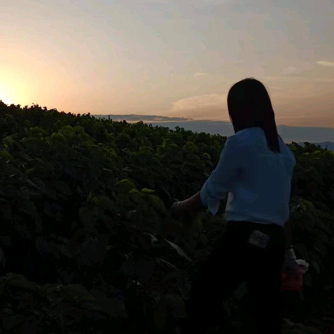 做好自己